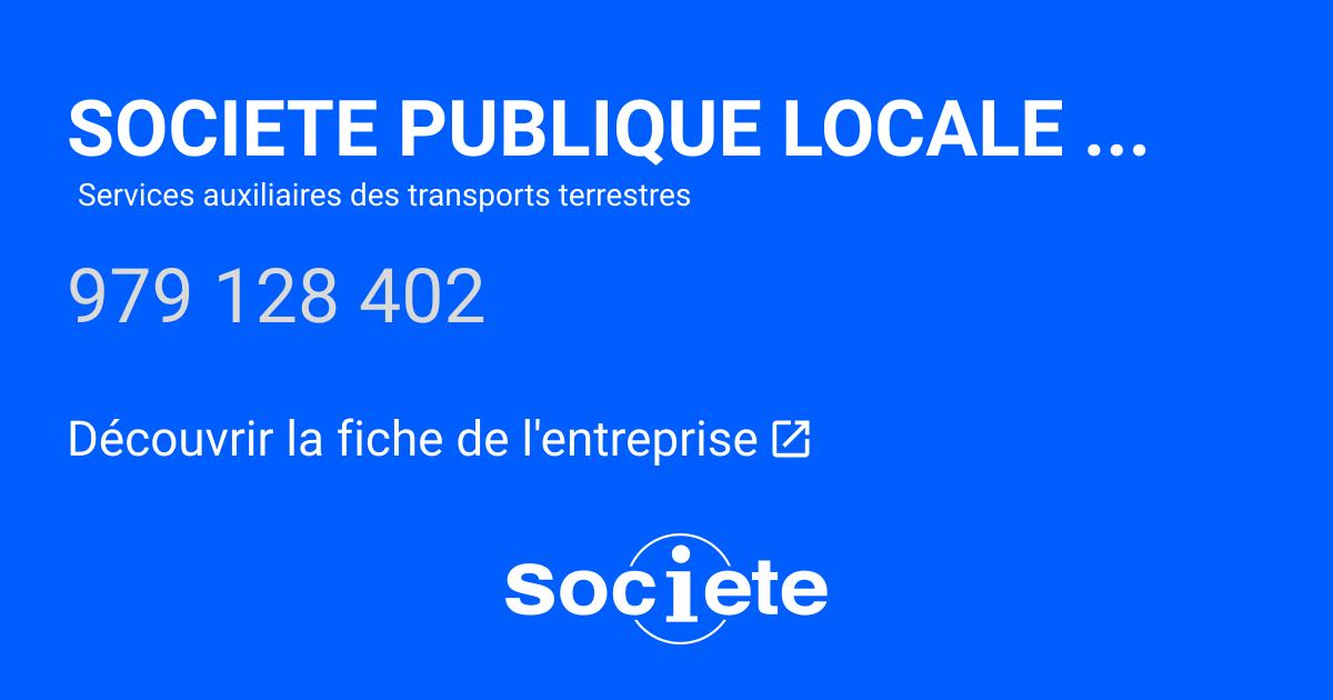 Lyon's SPL Relation Usagers: Enhancing Public Transport User Experience